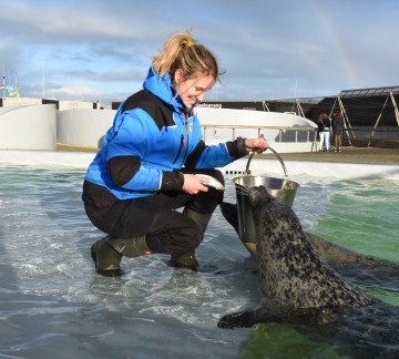 Ecomare -Rowanne voert zeehonden (2).JPG