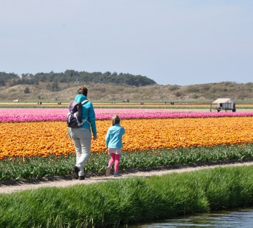 Noord-Holland - Bloeiende ZijpeMonique Alberts (169).jpg