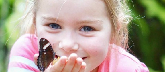 Vlindertuin Vlindorado.jpg