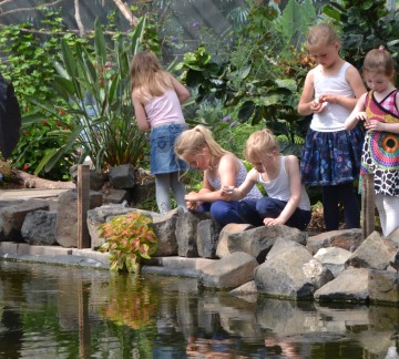 Vlindertuin Vlindorado 1.JPG