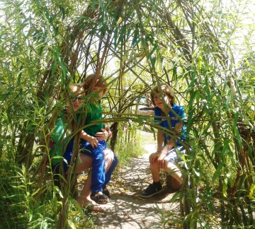 Wilgendoolhof De Helderse Vallei.jpg