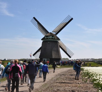 Noord-Holland - Bloeiende ZijpeMonique Alberts(148).jpg