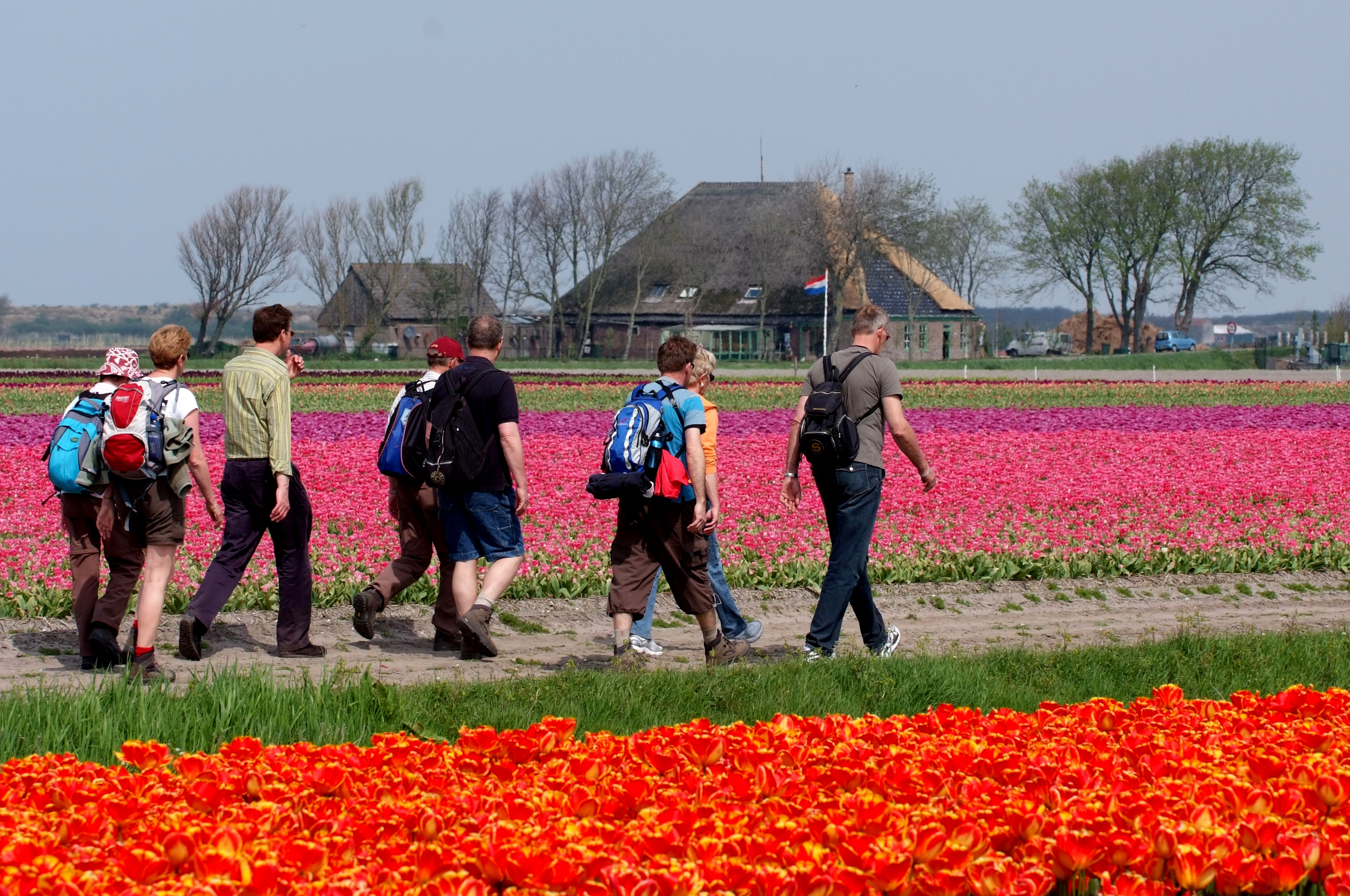 Bloeiend Zijpe - North Holland Day Trips - Noorder Sandt