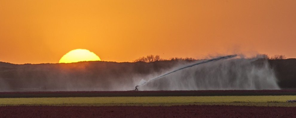 tupen zon duinen en sproeier.jpg