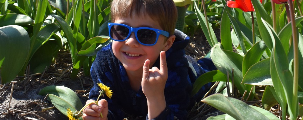 Jake in de tulpen.JPG