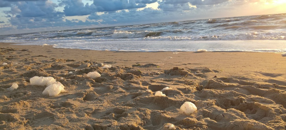 Schuim op strand.jpg