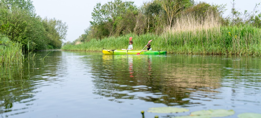 DSC01312.jpg DSC01312.jpg