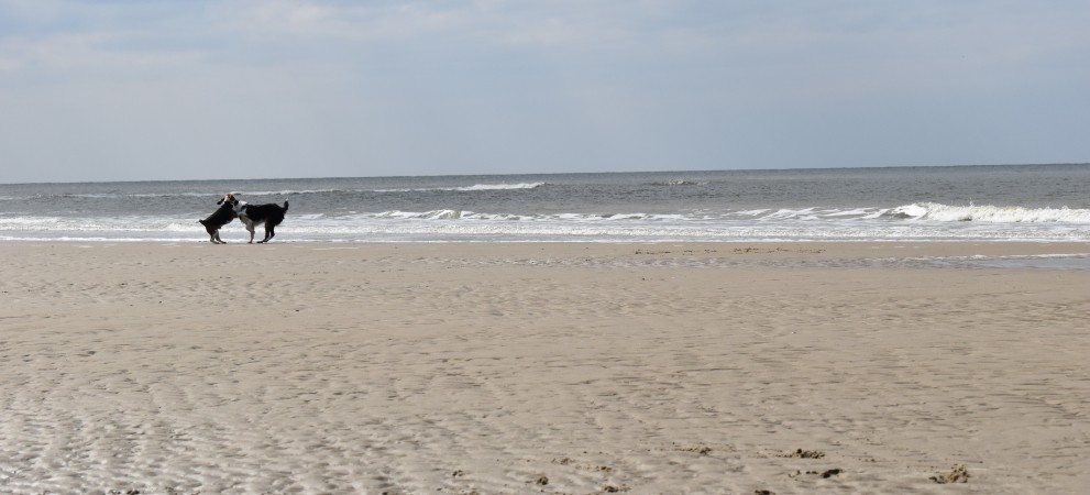 DSC_0055.JPG